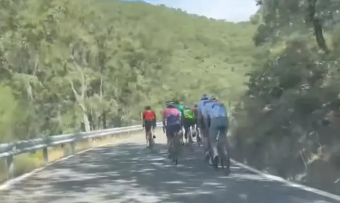 Bicicletas