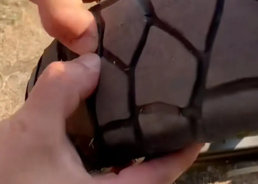 El neumático de Michelín.