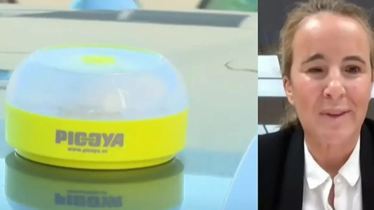 La subdirectora de circulación de la DGT, Ana Blanco, en el canal 24 horas.RTVE