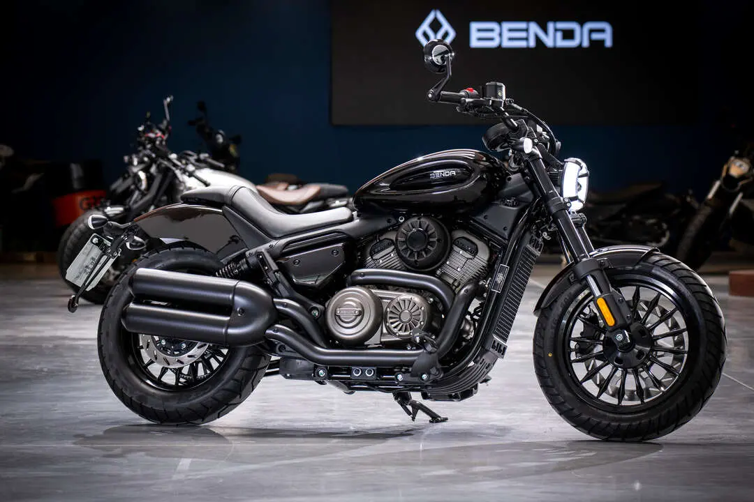 Benda Chinchilla 350 NEO