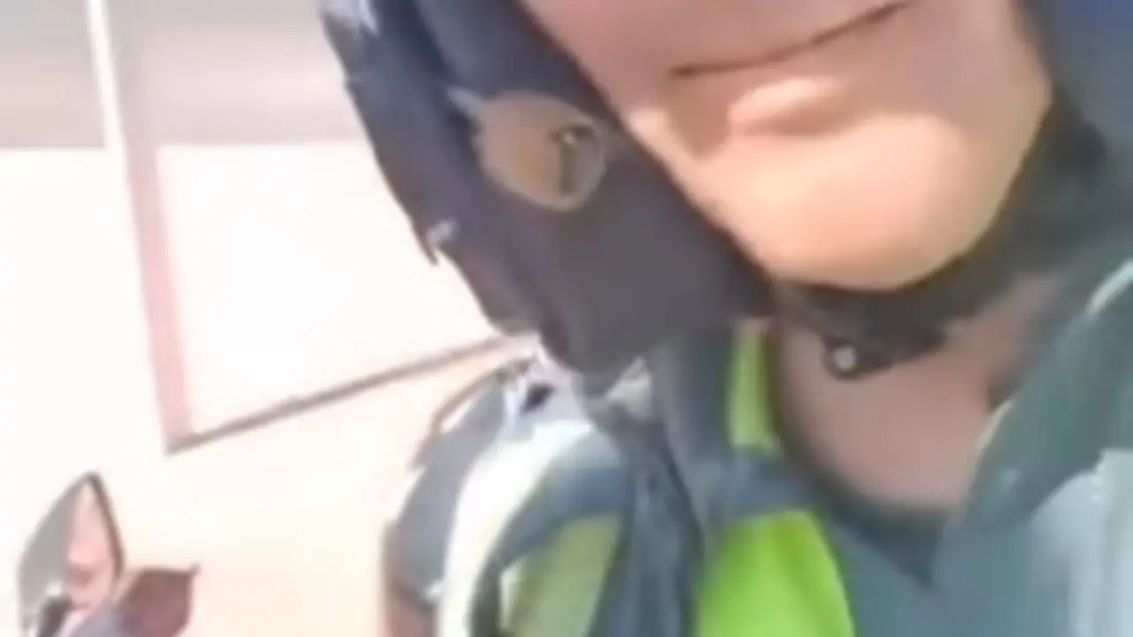 El agente de la Guardia Civil