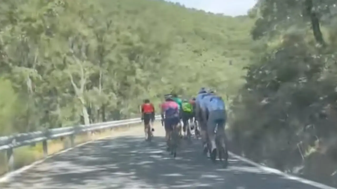 Bicicletas