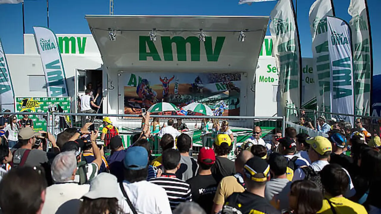 AMV Seguros