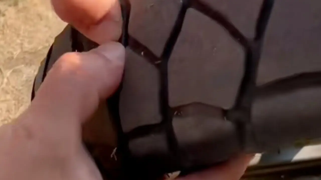 El neumático de Michelín.