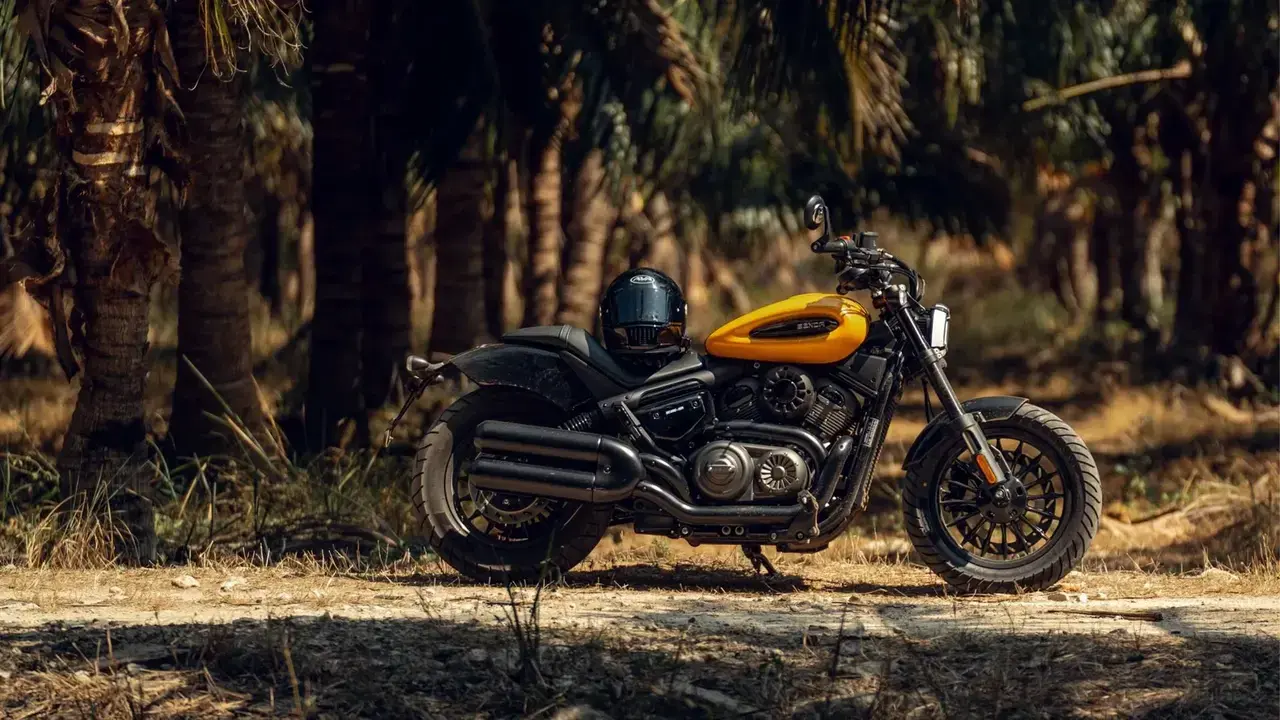 Benda Chinchilla 350 NEO