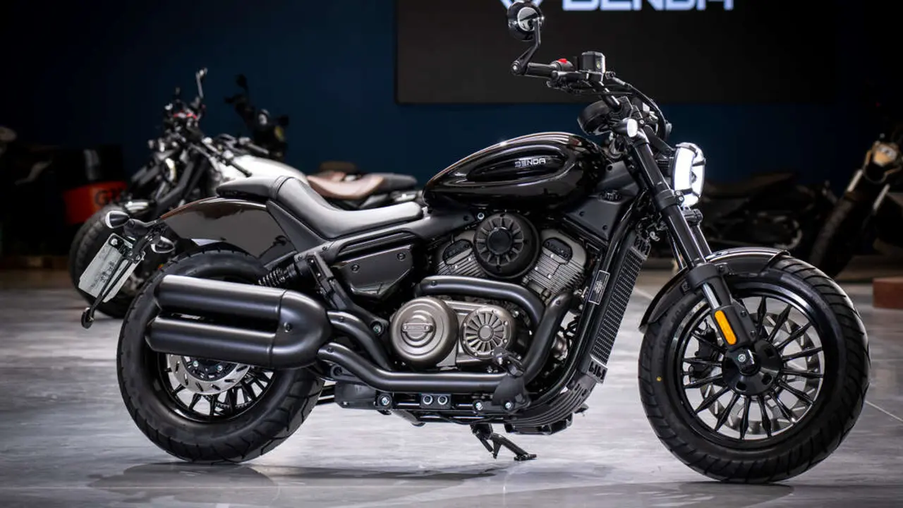 Benda Chinchilla 350 NEO