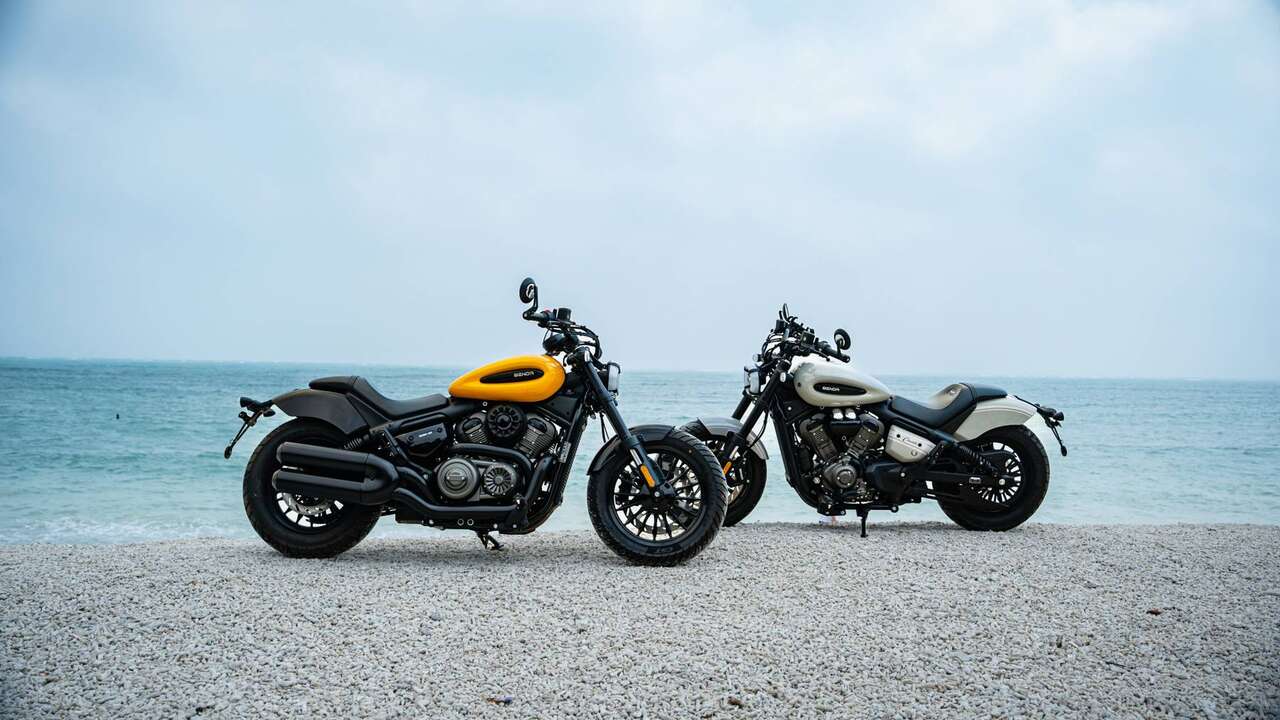 Benda Chinchilla 350 NEO